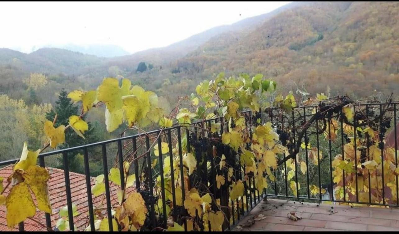 Hotel Coletti Pietro Snc Fabbrica Exterior foto